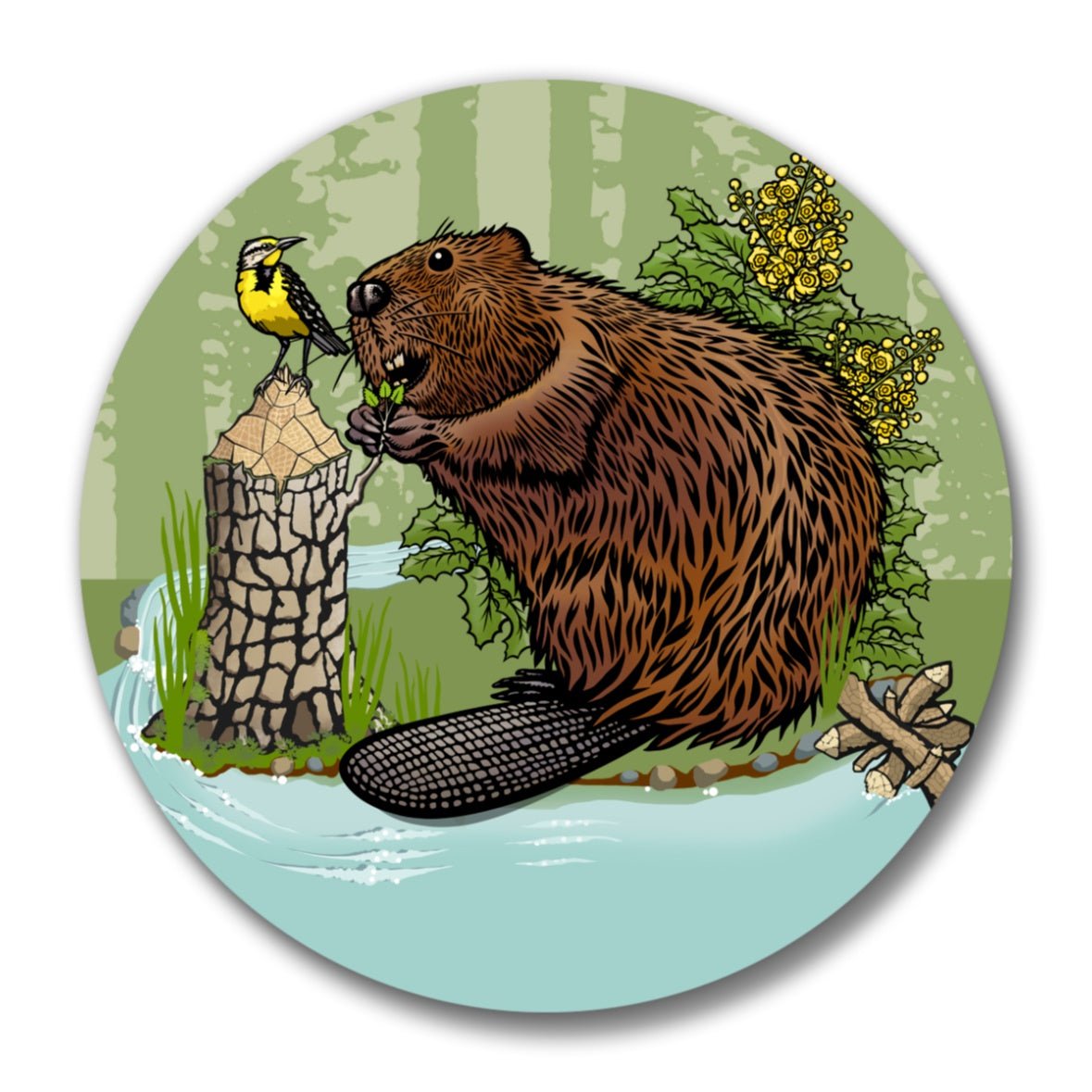 Beaver Bottle Opener-Soft Matte Bottle Openers-Two Little Fruits