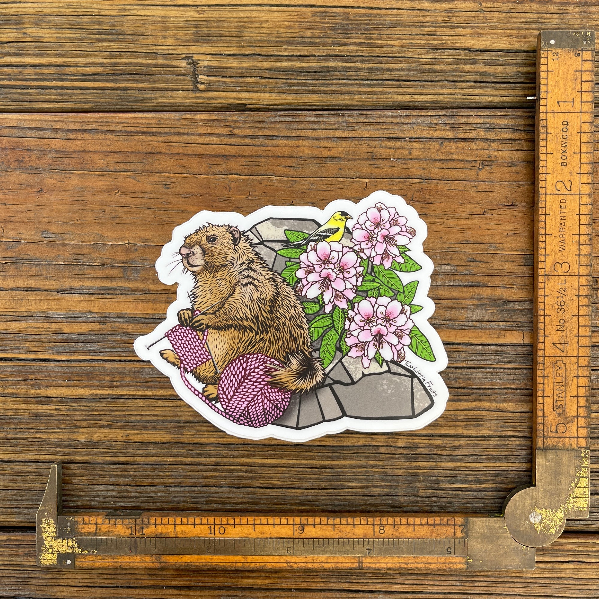Knitting Marmot Sticker - Two Little Fruits