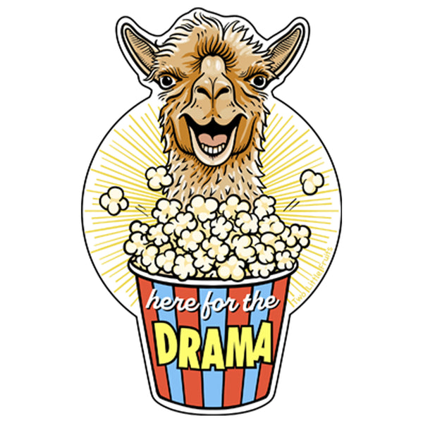 a llama eating popcorn out of a bucket