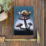 A snail rests on a mushroom against a night sky backdrop, with a ruler and a plant in the foreground.