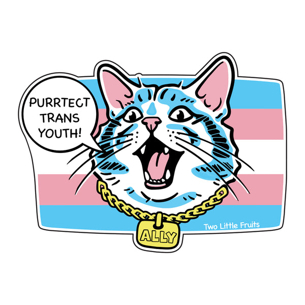 Protect Transgender Youth Cat Sticker – Trans Pride Ally Vinyl Sticker featuring a cheerful cat with the text 'Purrtect Trans Youth!' on a pastel trans flag background, perfect for showing LGBTQ PRIDE support. This new sticker is great for all your transgender youth support stickers needs!