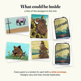 What could be inside the mystery greeting card pack: elephant, bison, Colorado beer can, grizzly bear, Camping = Breakfast Beer and Outdoorsy cards with white envelopes
