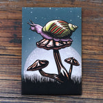 A colorful illustration of a snail on a mushroom, set against a night sky with stars.