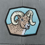 A close-up of a gray fabric with a patch featuring a cartoon image of a ram with large curved horns.