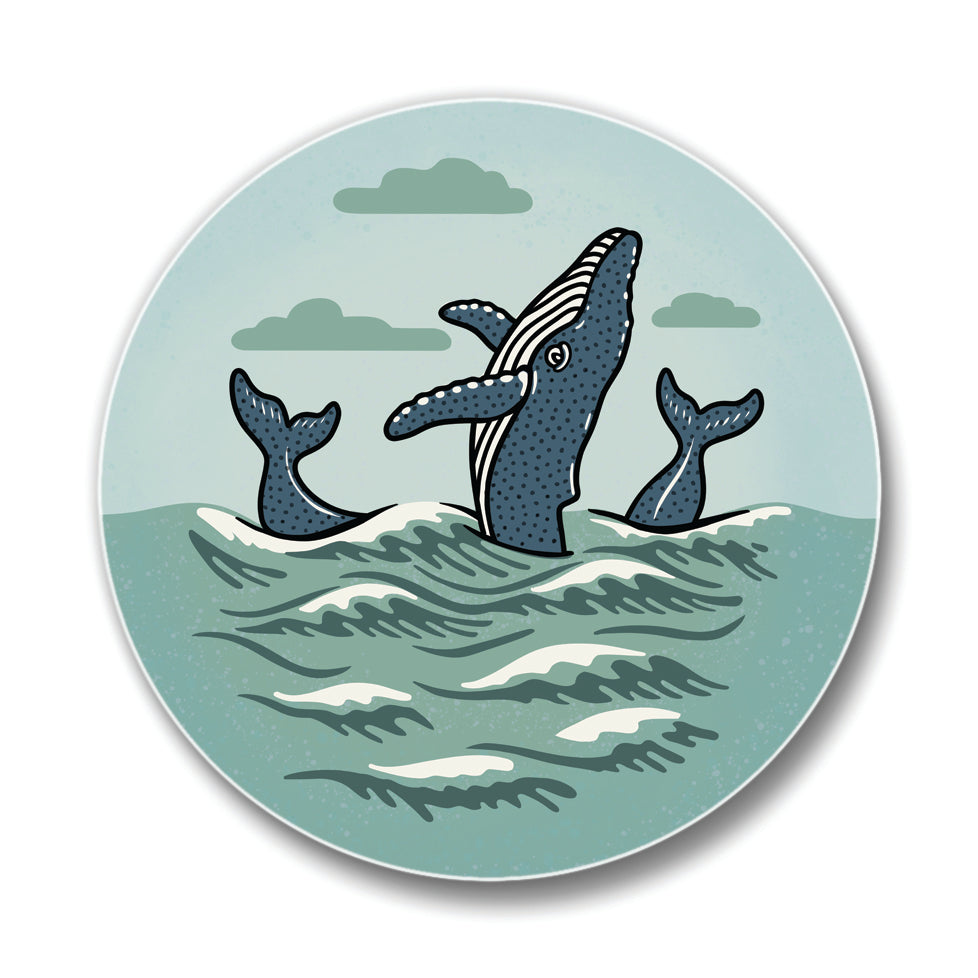 Humpback CSTR hand-illustrated by Two Little Fruits