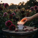 Dark Dahlia Citrus and Musk Scented Candle - Soy Candles - Two Little Fruits - Two Little Fruits