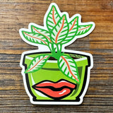 House Plant illustrated vinyl sticker by Two Little Fruits