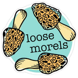 Morel Mushroom illustrated vinyl sticker by Two Little Fruits