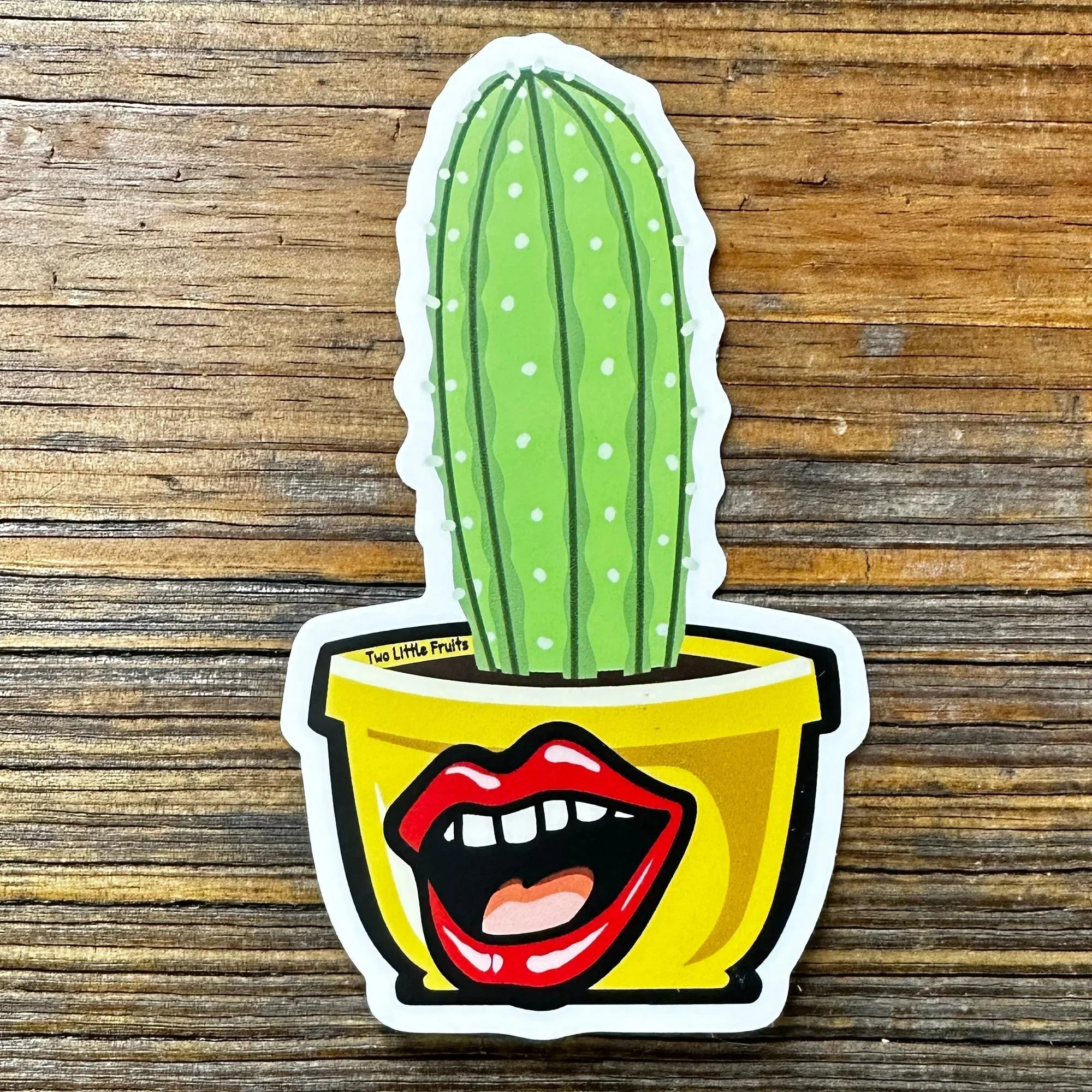 Potted Cactus illustrated vinyl sticker by Two Little Fruits