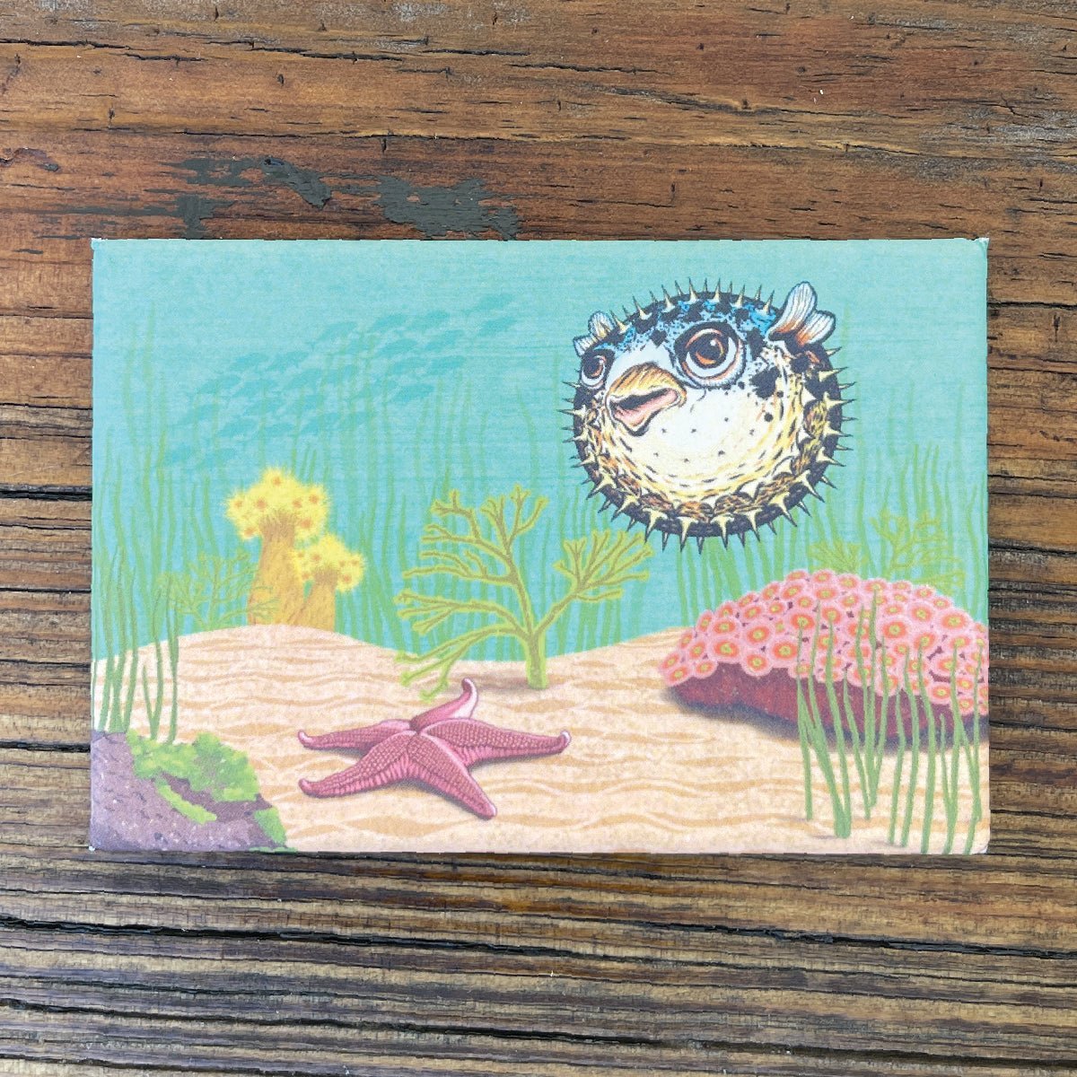 Pufferfish Fridge Magnet - Cute Blowfish Art, 2" x 3", Durable & Weather - Resistant - Fridge Magnets - Two Little Fruits - Two Little Fruits