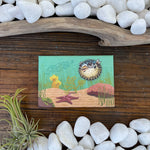 Pufferfish illustrated fridge magnet by Two Little Fruits