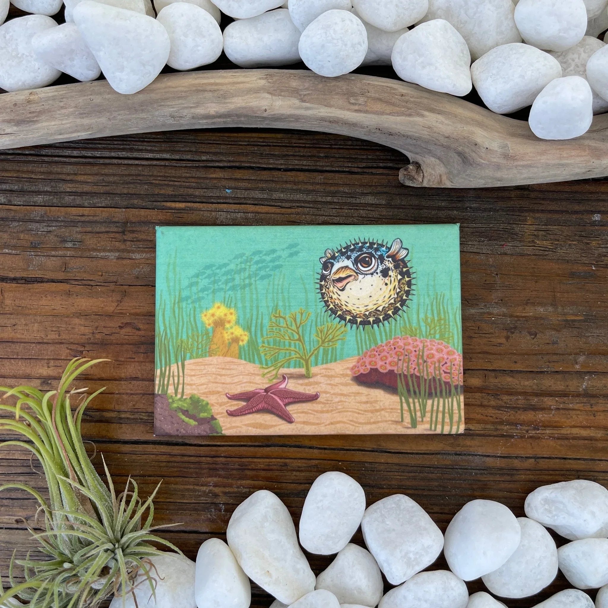 Pufferfish illustrated fridge magnet by Two Little Fruits
