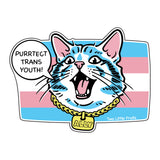 Purrtect Trans Youth Cat Sticker – Transgender Youth Support Stickers for Allyship & Pride - Sticker - Two Little Fruits - Two Little Fruits