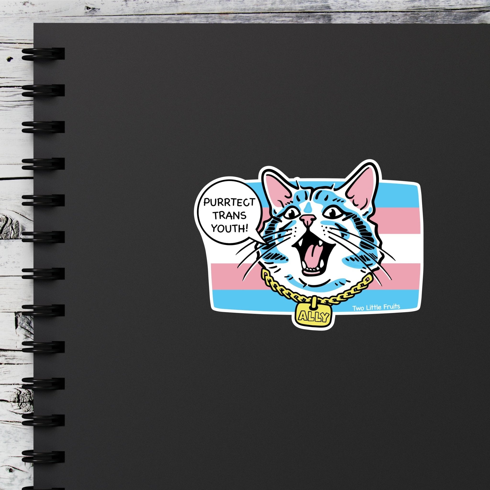 Purrtect Trans Youth Cat Sticker – Transgender Youth Support Stickers for Allyship & Pride - Sticker - Two Little Fruits - Two Little Fruits
