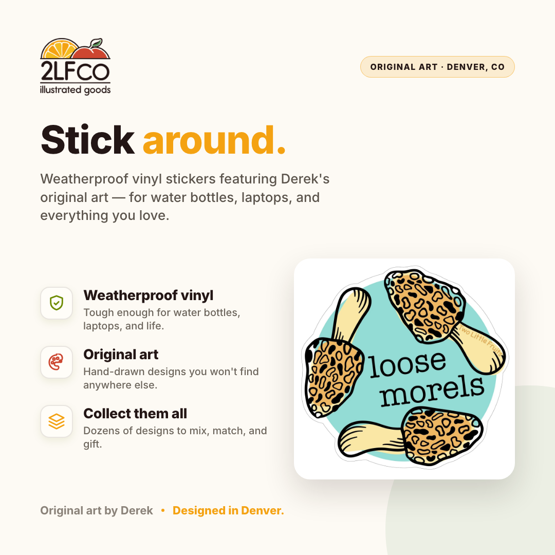 Morel Mushroom Vinyl Sticker — illustrated by Two Little Fruits, made in Denver