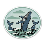Humpback STKR hand-illustrated by Two Little Fruits