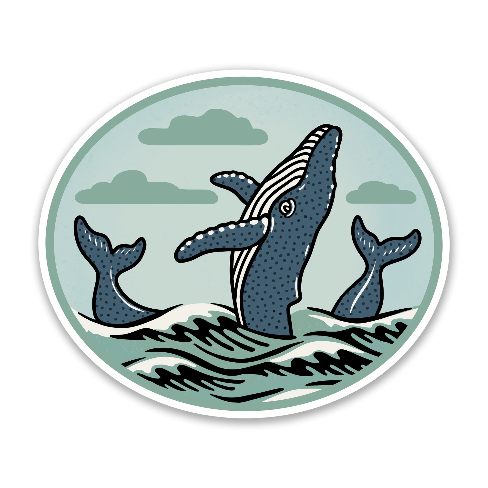 Humpback STKR hand-illustrated by Two Little Fruits
