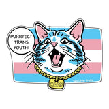 Transgender Youth illustrated vinyl sticker by Two Little Fruits