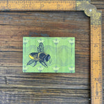 Unique Fridge Magnets - Green Honey Bee Design, 2" x 3" Durable Art Magnet for Home & Gifts - Fridge Magnets - Two Little Fruits - Two Little Fruits