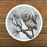 Adorable Winter Watch Owl Sticker featuring a cute owl on a tree branch, designed by Two Little Fruits. This owl vinyl sticker is perfect for personalizing your items!
