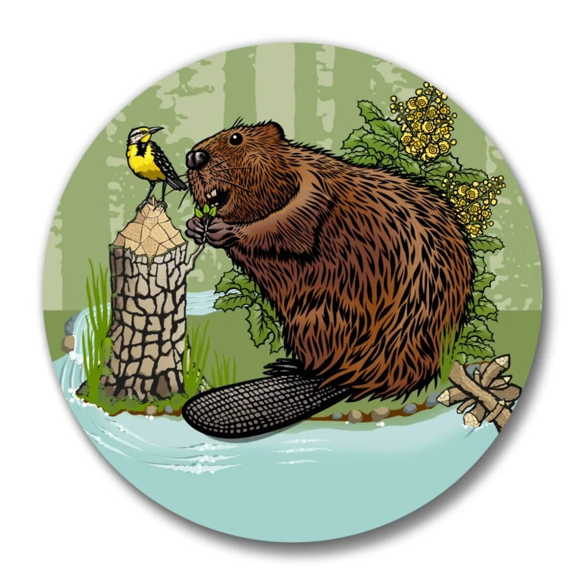 Beaver Bottle Opener With Strong Magnet | Durable All - Metal Design & Easy Cap Catcher - Soft Matte Bottle Openers - Two Little Fruits - Two Little Fruits