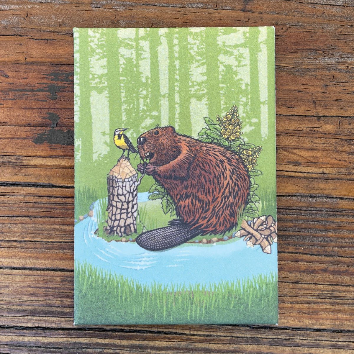 Beaver Fridge Magnet, Fridge Magnets - Two Little Fruits