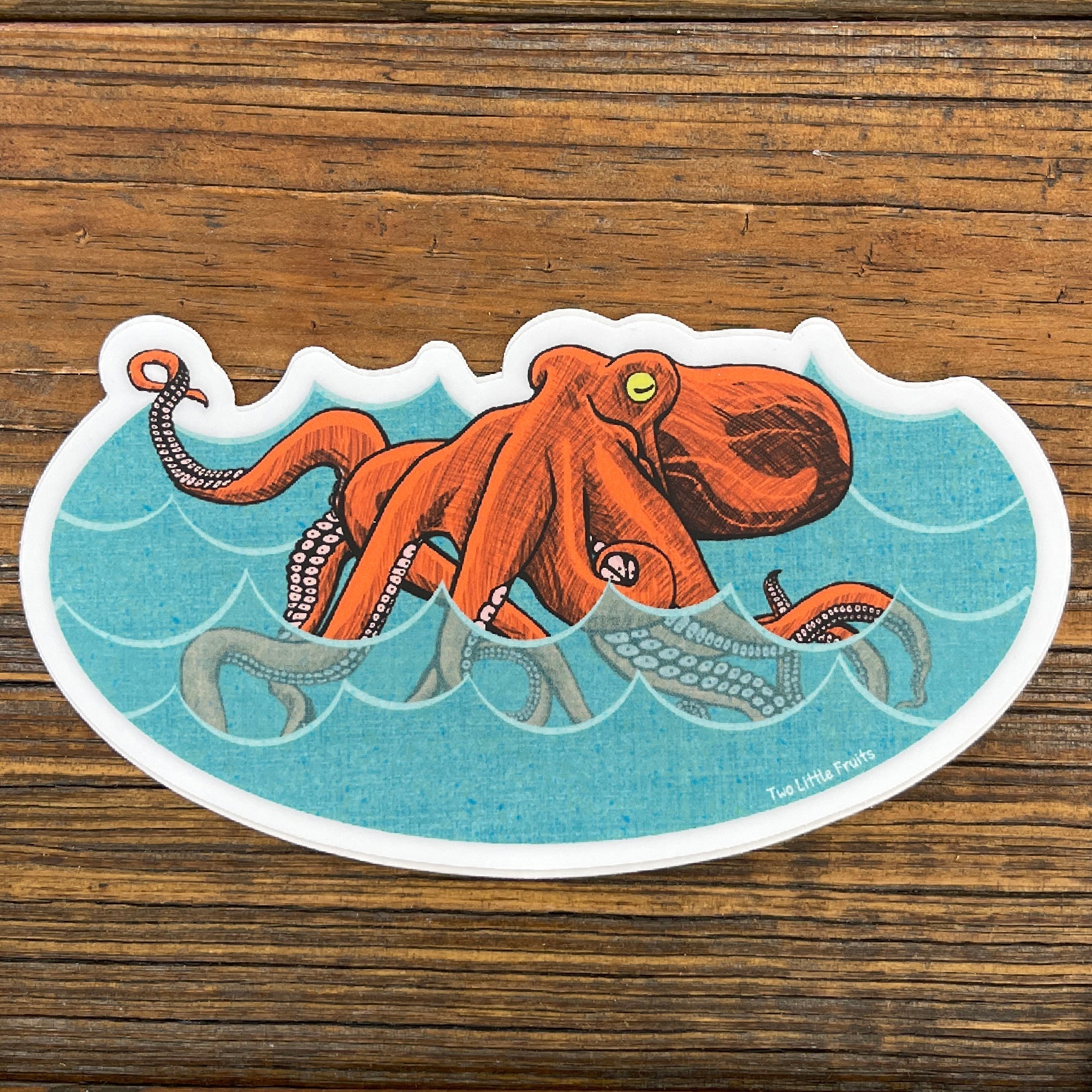 Bento The Octopus Sticker - Durable Water Bottle Octopus Decal for Any Surface - Sticker - Two Little Fruits - Two Little Fruits