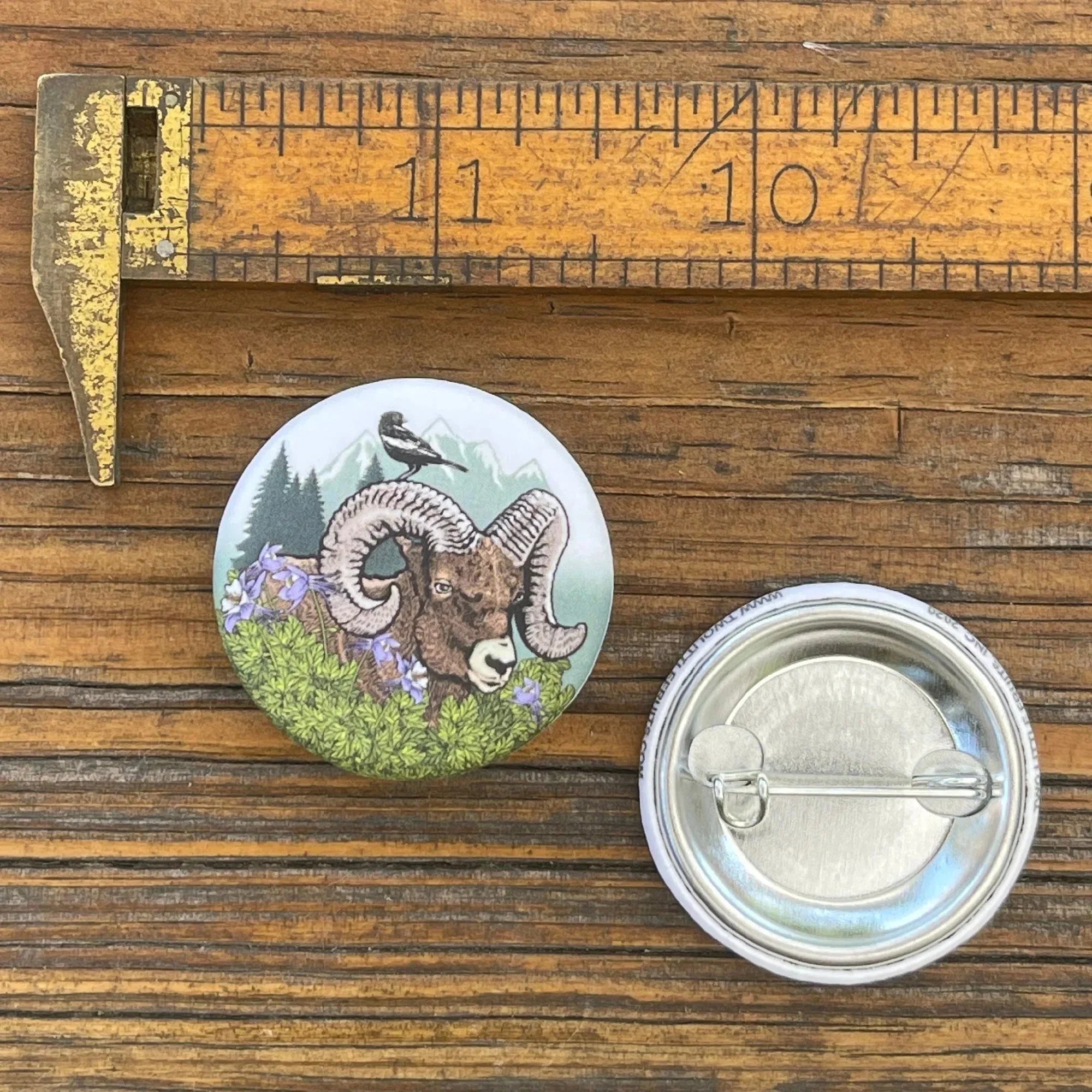 Bighorn Sheep illustrated button pin by Two Little Fruits
