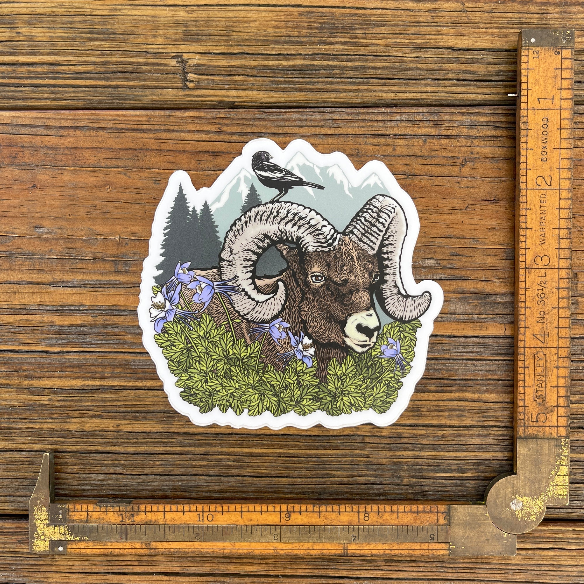 Bighorn Sheep Sticker - Sticker - Two Little Fruits - Two Little Fruits