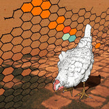 Charming Chicken Art Print - Whimsical Farm Animal Decor in 8x10 or 11x14 Sizes - Paper Prints - Two Little Fruits - Two Little Fruits