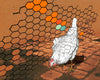 Close-up of a chicken art print, depicting a detailed illustration of a chicken with a hexagonal pattern in the background, ideal for adding a whimsical touch to home decor.