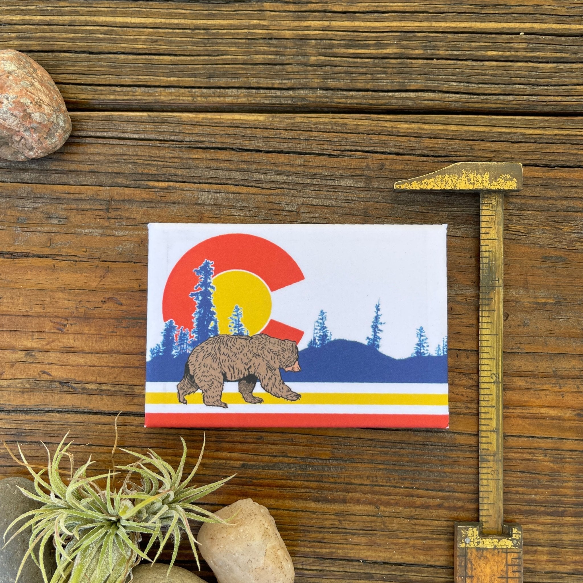 Colorado Fridge Magnets - Sport Bear Art Magnet 2