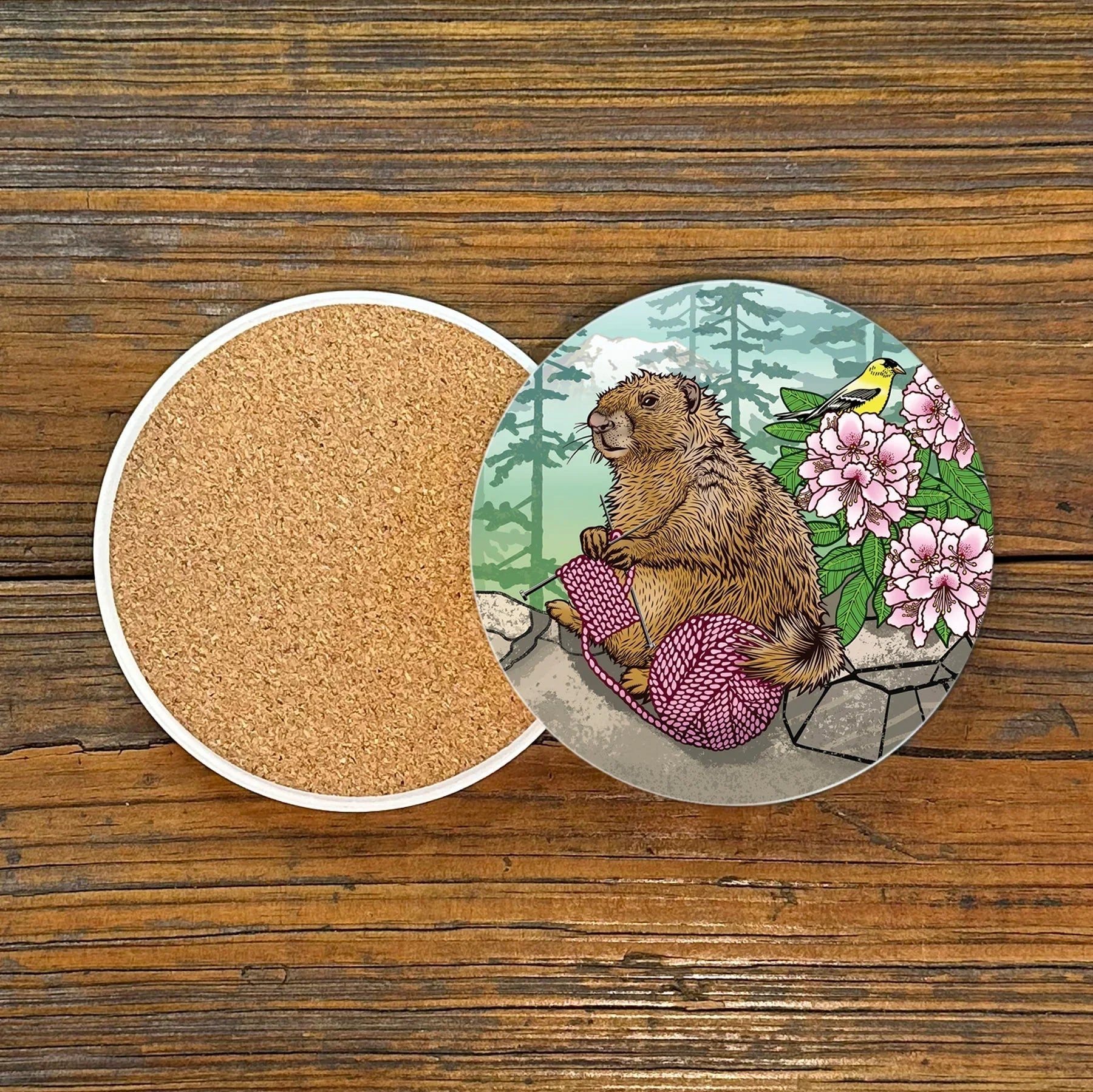 Colorful Coffee Table Coasters - Knitting Marmot Ceramic Drink Coasters, Set of 4, 4" Diameter