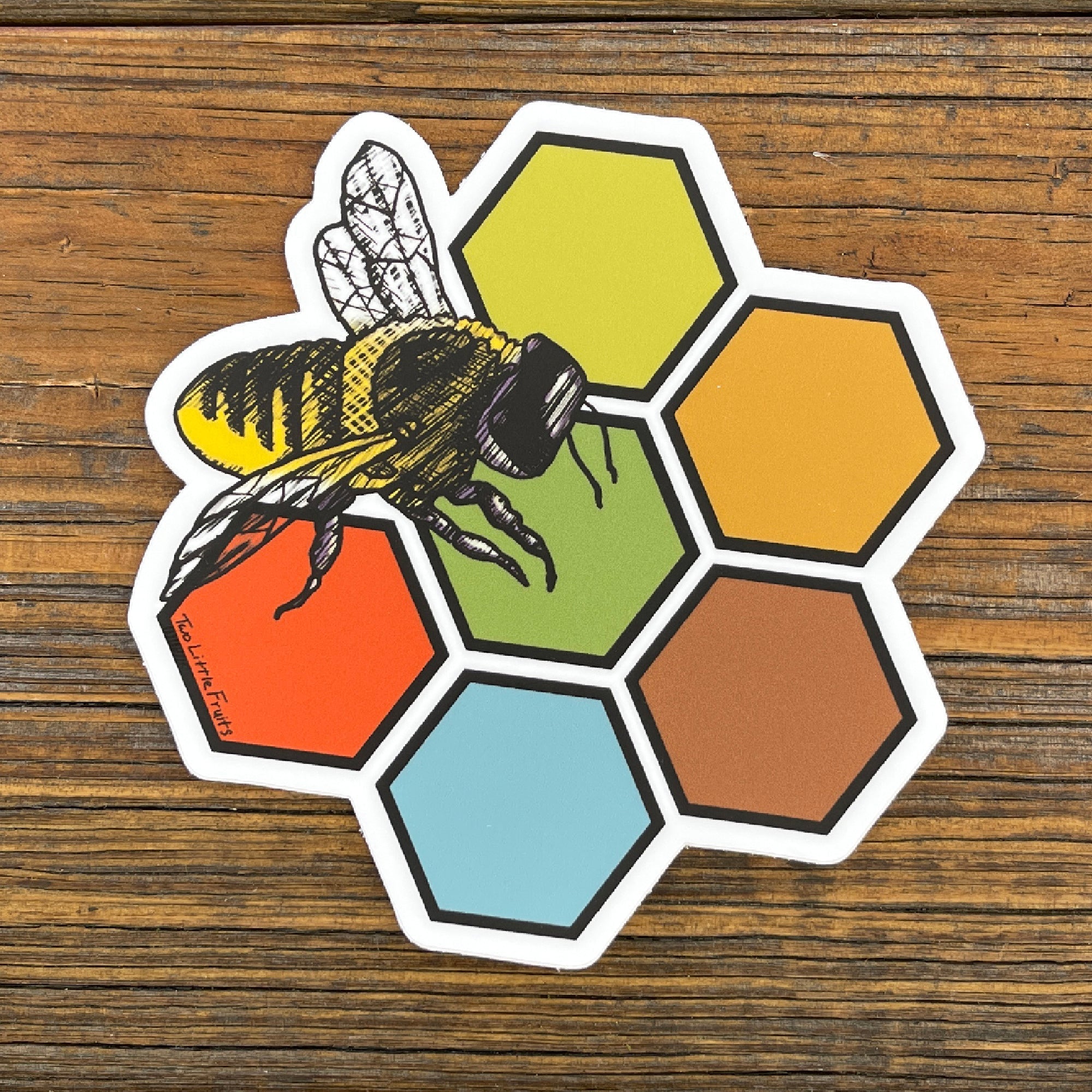 Colorful Honey Bee Sticker - Durable, Weatherproof Vinyl Decal - Sticker - Two Little Fruits - Two Little Fruits