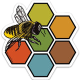 Colorful Honey Bee Sticker - Durable, Weatherproof Vinyl Decal - Sticker - Two Little Fruits - Two Little Fruits