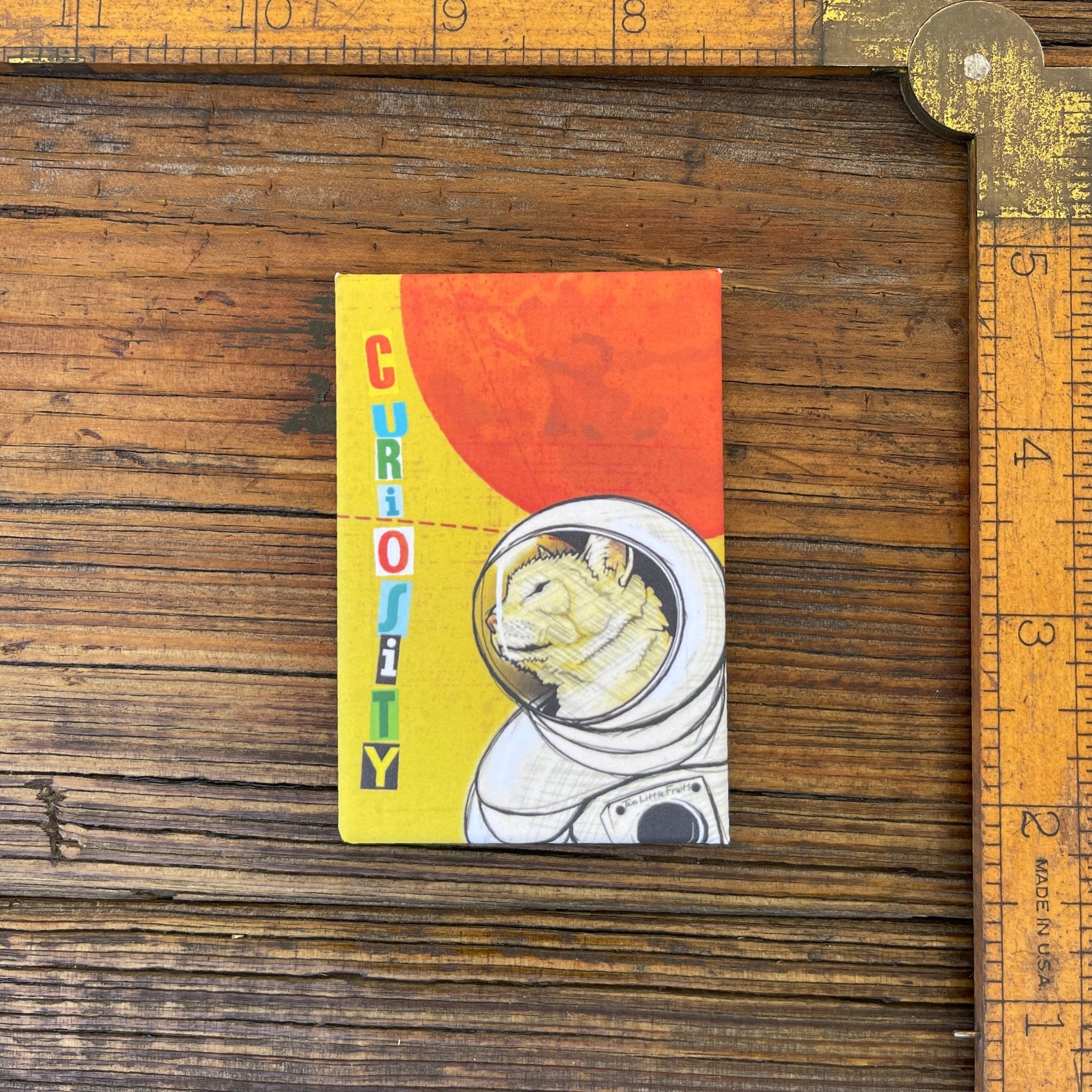 Curiosity Space Cat Magnet - Unique Decorative Cat Magnets, 2