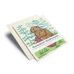 Eco - Friendly Dishcloth - Knitting Marmot Reusable Swedish Sponge Made from 70Cellulose & 30Cotton - Swedish Dish Cloth - Two Little Fruits - Two Little Fruits