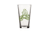 Frog Pint Glass - Pint Glass - Two Little Fruits - Two Little Fruits