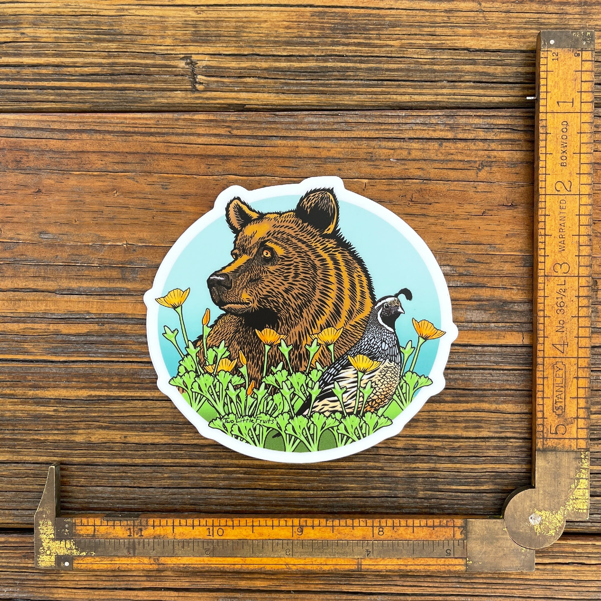 Grizzly Bear Sticker - Sticker - Two Little Fruits - Two Little Fruits