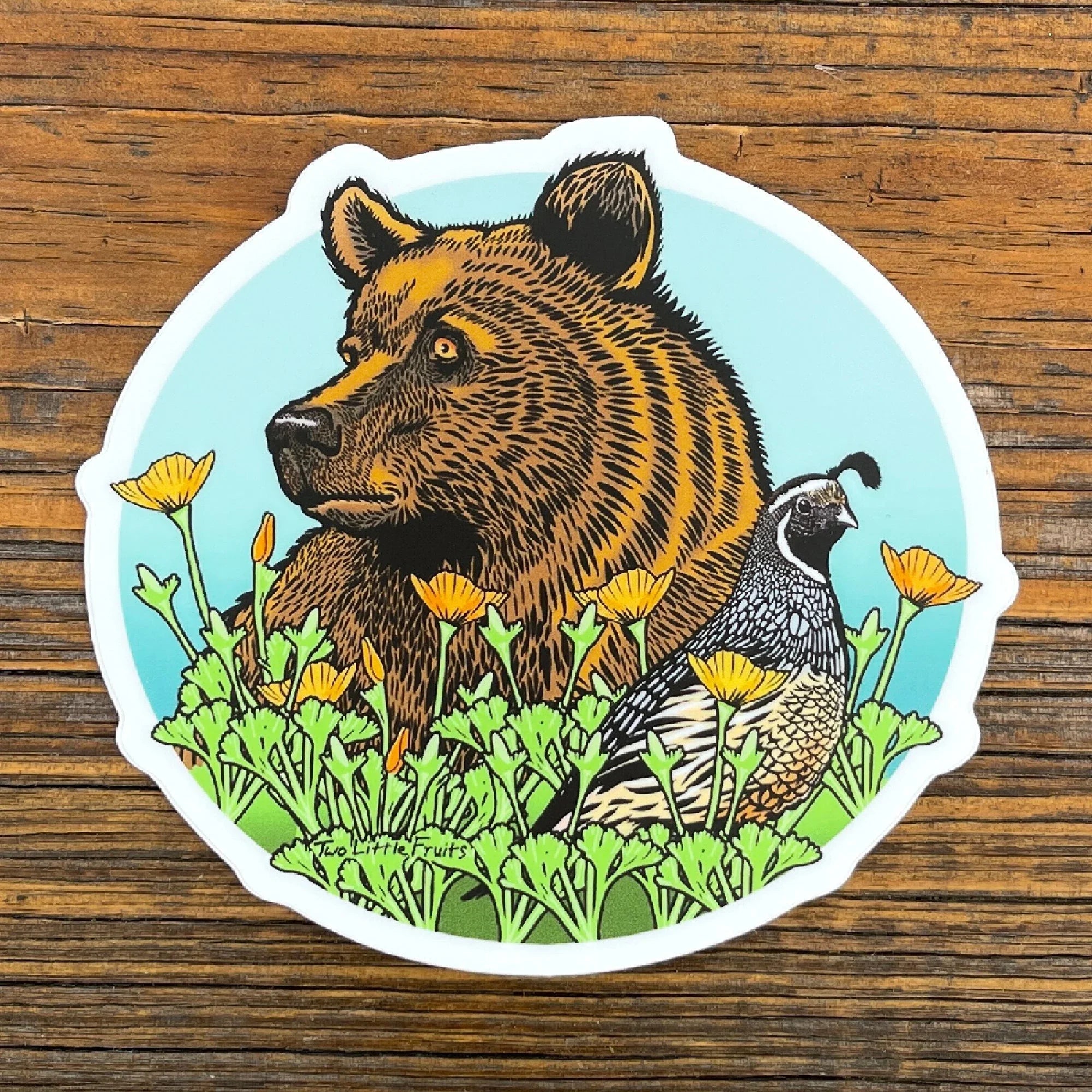Grizzly Bear illustrated vinyl sticker by Two Little Fruits