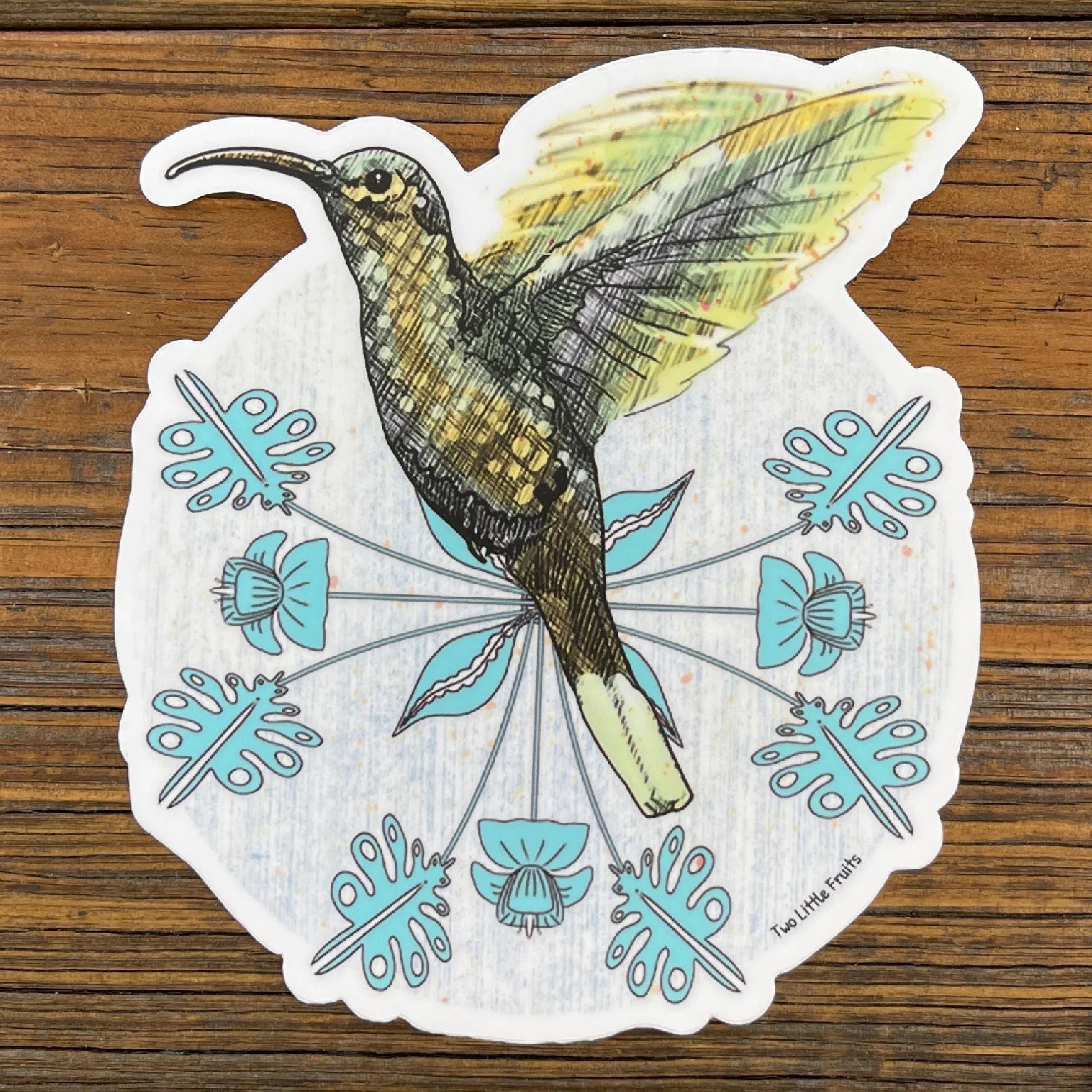 Hummingbird illustrated vinyl sticker by Two Little Fruits