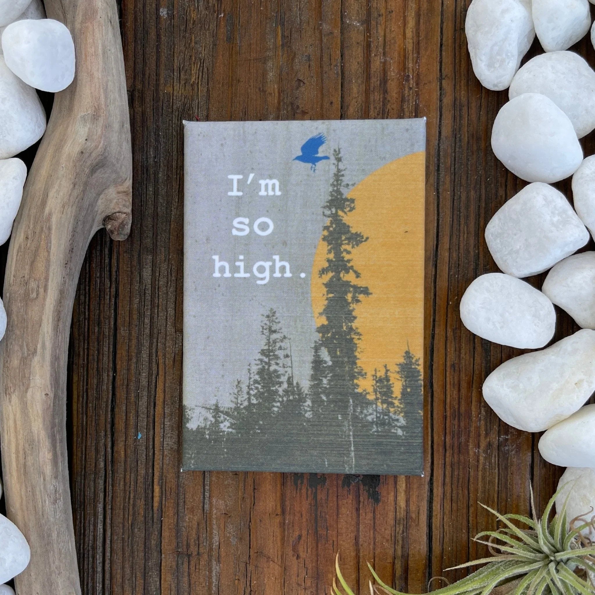 I'm So High Funny illustrated fridge magnet by Two Little Fruits