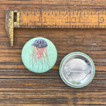 Jellyfish illustrated button pin by Two Little Fruits