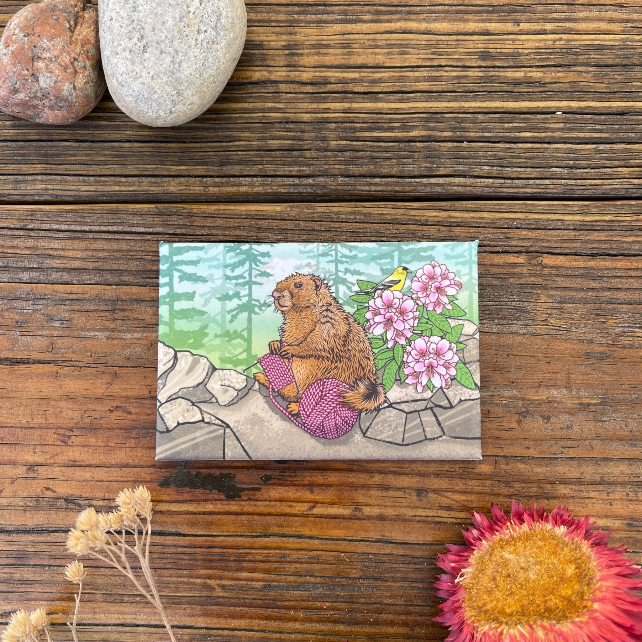 Lovely Knitting Marmot Magnet with a cute marmot and blooming flowers, placed on rustic wooden textures, making it a charming decorative accessory for any kitchen or office!