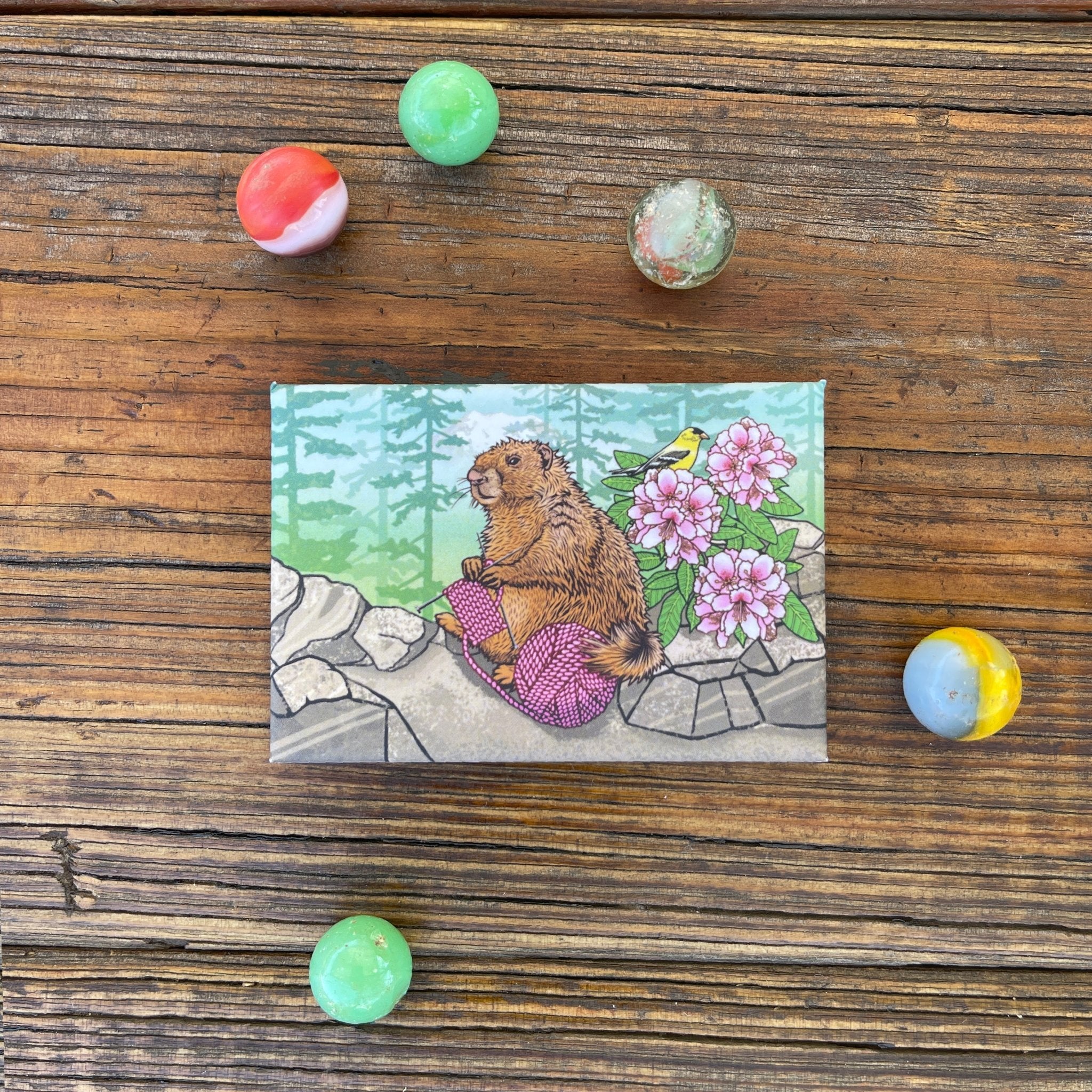 Fun Knitting Marmot Magnet design with a cute marmot, pink yarn, and flowers, surrounded by colorful marbles, ideal for adding personality to your refrigerator while holding important notes!