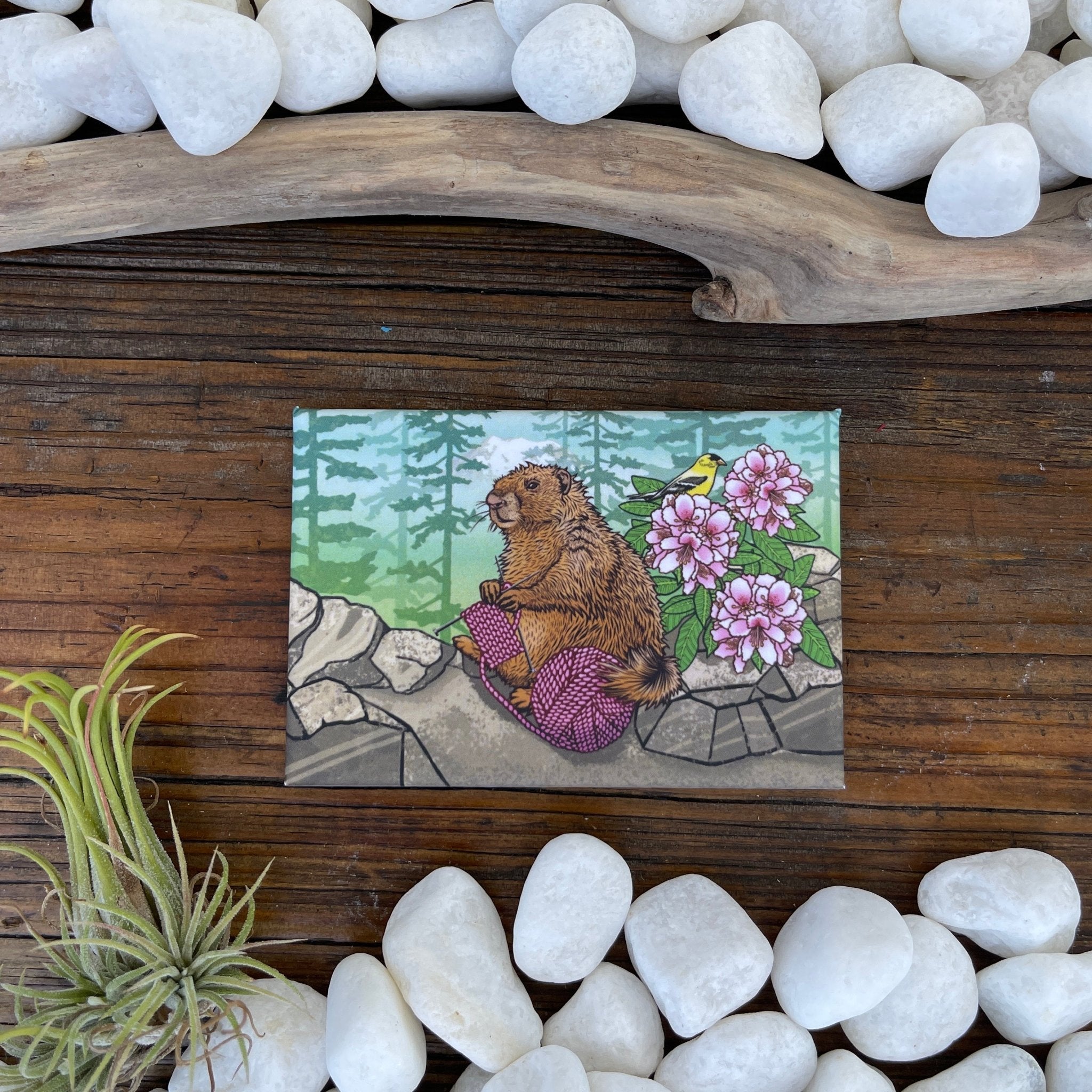 Bright and whimsical Knitting Marmot Magnet showcasing a charming marmot with pink yarn, nestled among natural stones and flowers - a delightful way to keep your reminders visible!