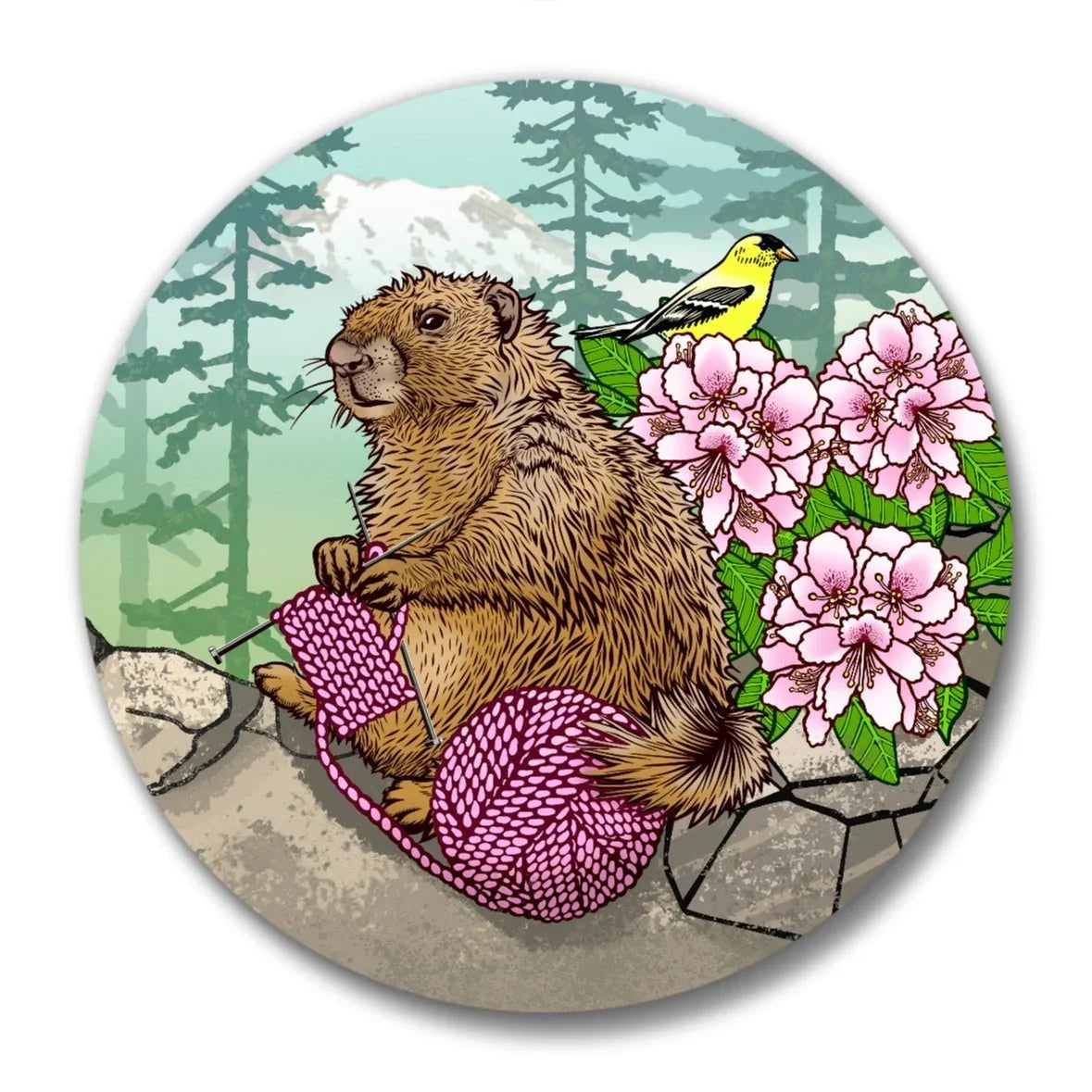 Knitting Marmot Magnetic Bottle Opener - 2.25" Round, Durable & Weather - Resistant - Soft Matte Bottle Openers - Two Little Fruits - Two Little Fruits