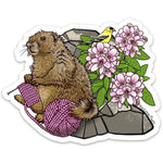 Knitting Stickers For Water Bottles - Durable Marmot Design by Two Little Fruits - Sticker - Two Little Fruits - Two Little Fruits