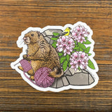 Knitting Marmot illustrated vinyl sticker by Two Little Fruits