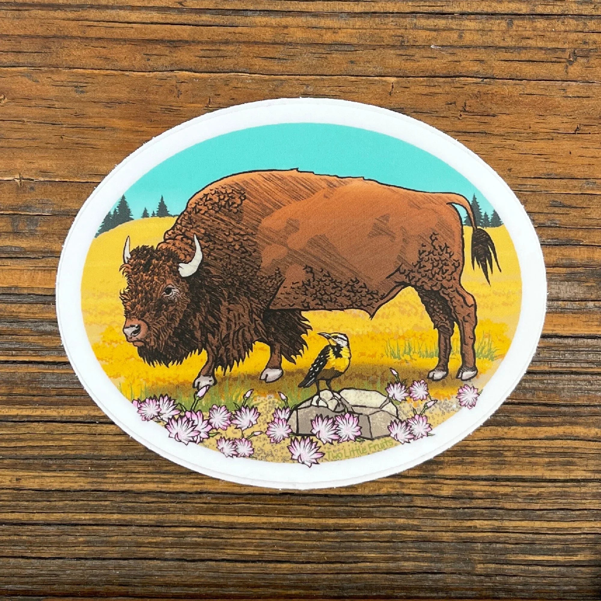 Montana Buffalo illustrated vinyl sticker by Two Little Fruits